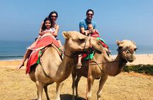 Private Full Day Tour at Tangier with Camel Ride 