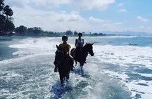 Bali Horse Riding Trot & Canter Saba Beach with Local Temple 