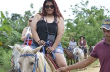 Unlimited Horseback Riding Tour in Punta Cana 