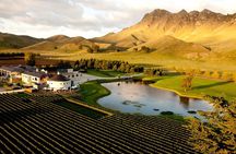 Craggy Range Deluxe - Hawke's Bay Wine Tour 