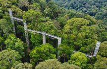 Explore Temburong with Canopy Tower