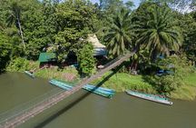 Explore Temburong with Canopy Tower