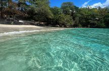 Portland Jamaica Private Day Tour