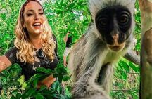  Jozani Forest ,mtende beach and Sea Turtles Sanctuary tour 
