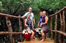 Zanzibar : jozani forest and sea turtles sanctuary tour