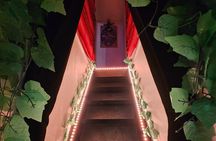 Take Home the Wonder: Magic Show and Magic Lesson Experience