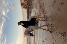 Horseback Riding On The Beach Of Essaouira 