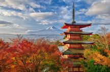 Mt. Fuji Signature 6 Scenic Spots One Day Tour from Tokyo