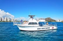 Turtle Canyon Snorkel Adventure in Waikiki