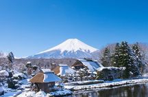 Mt. Fuji Signature 6 Scenic Spots One Day Tour from Tokyo
