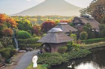 Mt. Fuji Signature 6 Scenic Spots One Day Tour from Tokyo