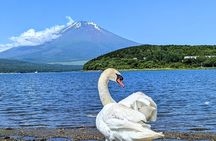 Mt. Fuji Signature 6 Scenic Spots One Day Tour from Tokyo