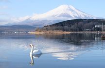 Mt. Fuji Signature 6 Scenic Spots One Day Tour from Tokyo