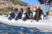 Double dive in the Punta Campanella Marine Protected Area
