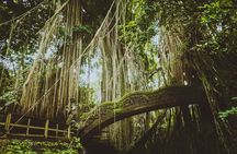 Ultimate Ubud Experience All Inclusive Private Day Tour