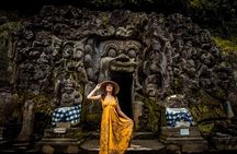 Elephant Cave and Hidden Waterfall All-Inclusive Private Day Tour