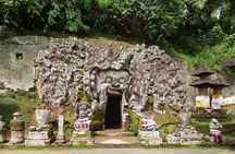 Elephant Cave and Hidden Waterfall All-Inclusive Private Day Tour