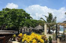 Dar es Salaam: Beach Day Tour with Resort Access