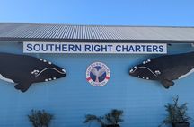 Cape Agulhas, Hermanus Stony Point Penguins Colony Tour 