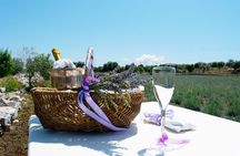 Private Olive Oil Tasting in Polignano a Mare