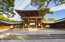 Afternoon Small Group Tour in Tokyo