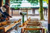 Afternoon Small Group Tour in Tokyo