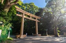 Afternoon Small Group Tour in Tokyo