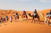4 Days Fes to Sahara Desert end in Marrakech 