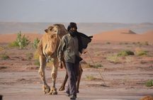 4 Days Fes to Sahara Desert end in Marrakech 