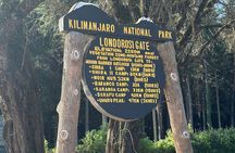 Shira route Kilimanjaro Day Trip via Lemosho route