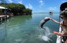  Caye Caulker Private Boat Tour Experience