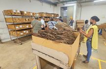3 Tours in 1: Cigar Factory, Altos de Chavon and Cave Expedition