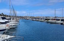 Gran Canaria Sunset Dolphin Watching Activity