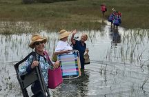 Masonboro Island Cruise