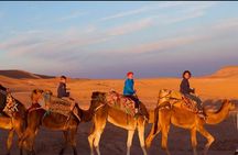 Trip to the Agafay Desert with activities and dinner