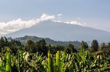 4 Day Mount Meru Hike to Kilimanjaro