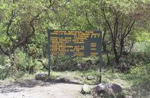 4 Day Mount Meru Hike to Kilimanjaro