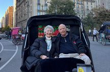 1 Hour Private Guided Tour