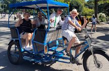 1 Hour Private Guided Tour