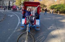 1 Hour Private Guided Tour