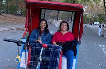 1 Hour Private Guided Tour