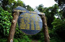  8 Days Mount Kilimanjaro Lemosho Route