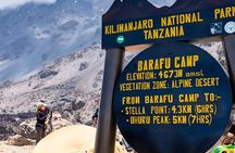  8 Days Mount Kilimanjaro Lemosho Route