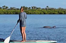 Paddle With Native Wildlife