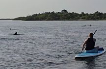 Paddle With Native Wildlife