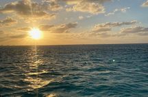 Stingray City Catamaran Sunset Tour