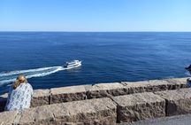 Acadia Woody's "Utmost Coast" 3 Hour Driving Tour