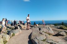 Acadia Woody's "Utmost Coast" 3 Hour Driving Tour