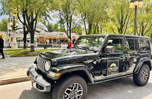 Chicago City Private Tours
