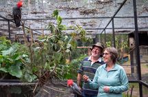 Tour from Eden to Merimbula Wetlands Wildlife and Coastline